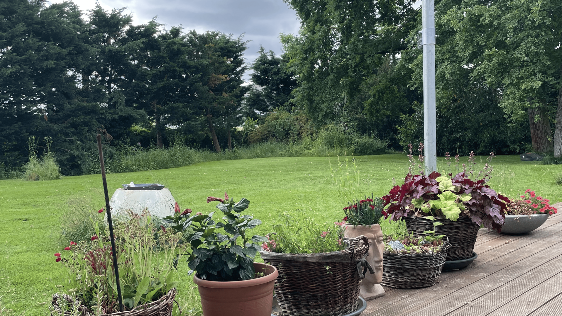 Blick in den Bürogarten Das Bild zeigt einen Blick von der Terrasse raus in den grünen Garten. Es ist eine Wiese zu erkennen, Bäume und Hecke im Hintergrund. Vorne sind mehrere Blumentöpfe mit Pflanzen. Es sieht sehr einladend aus.